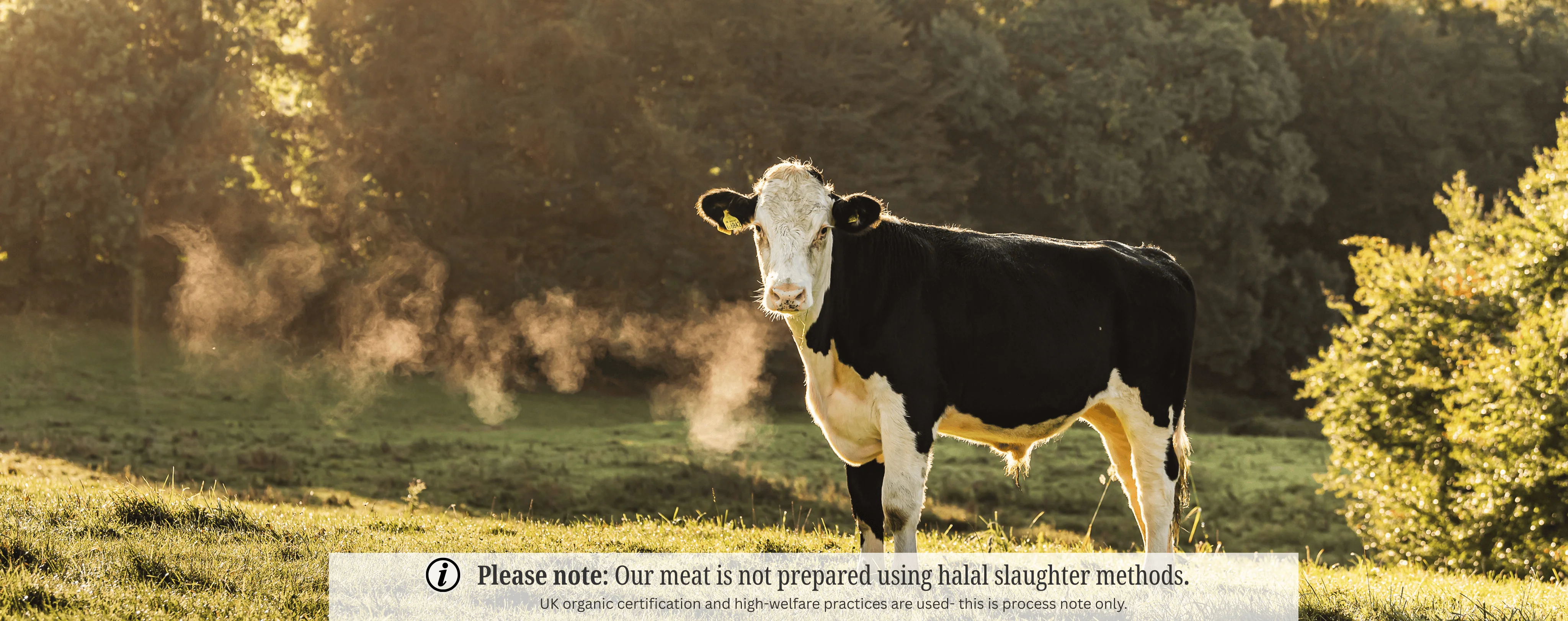 Award-Winning Organic British Meat